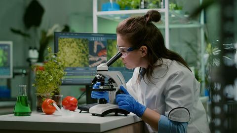 Food Vision Inspection Systems: Modern Technology Explained
